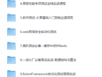 《挑战年薪50万：高级测试开发全栈系列课》