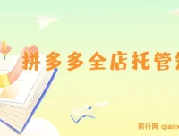 拼多多全店托管矩阵课：盈利动销玩法与高效计划设置，提升店铺效益