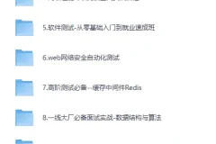 《挑战年薪50万：高级测试开发全栈系列课》