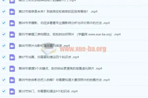 零基础摄影入门课程：轻松拍出好照片（适用于佳能、索尼、尼康、富士用户）