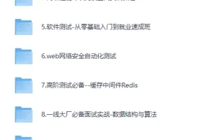 《挑战年薪50万：高级测试开发全栈系列课》