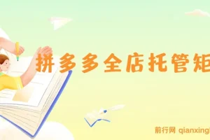 拼多多全店托管矩阵课：盈利动销玩法与高效计划设置，提升店铺效益