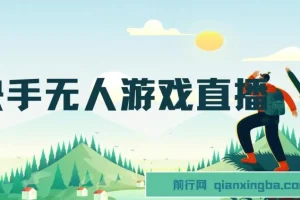 快手游戏无人直播：实现无忧变现的一条龙系统