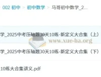 马哥初中数学中考压轴题30天10练：新定义大合集