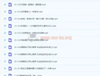 杨洋语文《昼夜诗文》课程（含25讲）