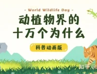 学而思KIDS学堂《动植物界的十万个为什么》科普动画课程