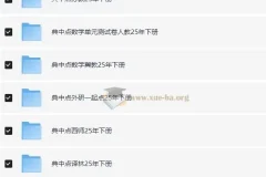 典中点小学语数英学习资料包（2025 春）