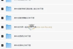 典中点小学语数英学习资料包（2025 春）