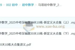 马哥初中数学中考压轴题30天10练：新定义大合集