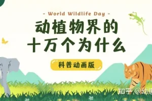 学而思KIDS学堂《动植物界的十万个为什么》科普动画课程