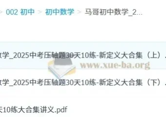 马哥初中数学中考压轴题30天10练：新定义大合集