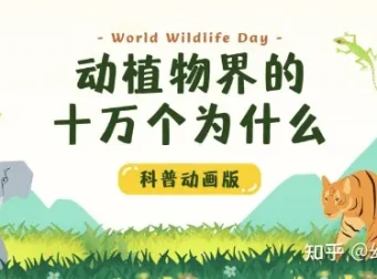 学而思KIDS学堂《动植物界的十万个为什么》科普动画课程