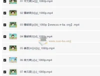 看动画学英语音标课程