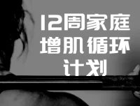 卓叔12周家庭增肌循环计划