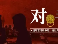 有声小说《对手：权力征途》大全集完结