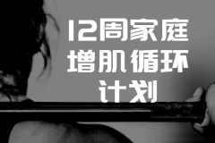 卓叔12周家庭增肌循环计划