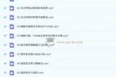 2025高三高考生物金晶技巧提升课程