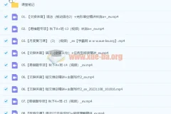 2024初三中考英语林淼A+尖端秋季班（下）