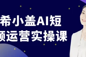南希小盖AI短视频运营实操课