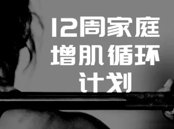 卓叔12周家庭增肌循环计划