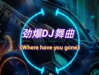 车载必备：326首抖音DJ嗨曲精选合集