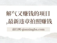 最新违章拍照赚钱项目：随手一拍，轻松月入3000+