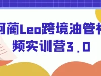 阿蔺Leo跨境油管视频实训营3.0