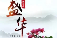 有声小说《盛华》465集全本完结