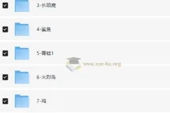 幼儿小学英语基础版思维导图