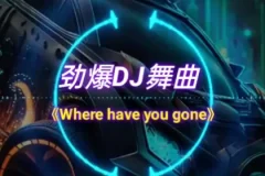 车载必备：326首抖音DJ嗨曲精选合集