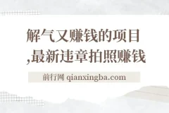 最新违章拍照赚钱项目：随手一拍，轻松月入3000+