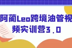 阿蔺Leo跨境油管视频实训营3.0