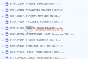 Sir电影私塾手机美食摄影课：百万美食大V亲授全网最全美食拍摄攻略