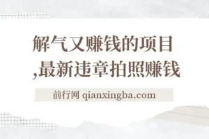 最新违章拍照赚钱项目：随手一拍，轻松月入3000+