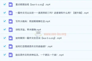 玉米老师作文专题课【提升版】