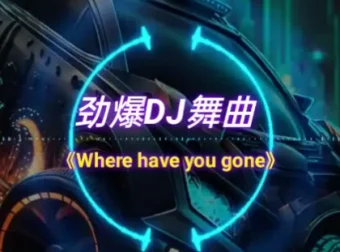 车载必备：326首抖音DJ嗨曲精选合集