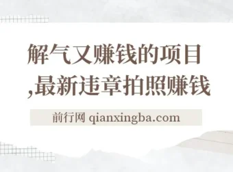 最新违章拍照赚钱项目：随手一拍，轻松月入3000+