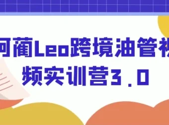 阿蔺Leo跨境油管视频实训营3.0
