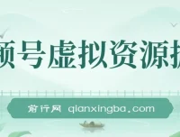 视频号虚拟资源掘金：0成本变现，单月收益可观