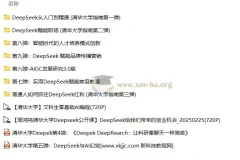 清华大学DeepSeek教程全9弹