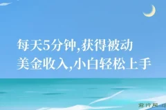 每天5分钟，小白轻松上手获被动美金收入