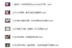 《B站付费课程：零基础上手Procreate》