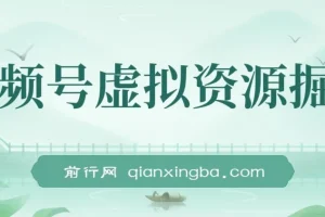 视频号虚拟资源掘金：0成本变现，单月收益可观