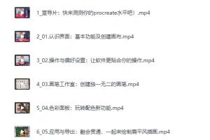 《B站付费课程：零基础上手Procreate》