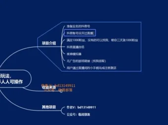 抖音无人直播汉字游戏变现指南