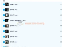 日系人像摄影私教课 20 课时完结