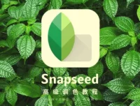 Snapseed从入门到精通：手机修图高手速成，一部手机修出摄影大片