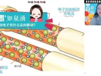 2024初三物理高效复习：廉思佳人教版全攻略