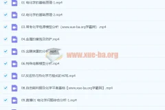 李政化学2024高三高考秋季班课程