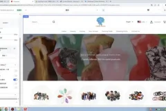 独立站搭建与SEO优化全攻略：56节实战课程